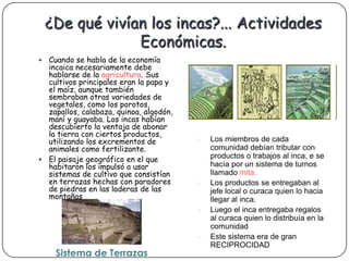 ¿De qué vivían los incas?... Actividades
                 Económicas.
 Cuando se habla de la economía
  incaica necesariamente debe
  hablarse de la agricultura. Sus
  cultivos principales eran la papa y
  el maíz, aunque también
  sembraban otras variedades de
  vegetales, como los porotos,
  zapallos, calabaza, quinoa, algodón,
  maní y guayaba. Los incas habían
  descubierto la ventaja de abonar
  la tierra con ciertos productos,
  utilizando los excrementos de          o   Los miembros de cada
  animales como fertilizante.                comunidad debían tributar con
 El paisaje geográfico en el que
                                             productos o trabajos al inca, e se
  habitaron los impulsó a usar               hacía por un sistema de turnos
  sistemas de cultivo que consistían         llamado mita.
  en terrazas hechas con paradores       o   Los productos se entregaban al
  de piedras en las laderas de las           jefe local o curaca quien lo hacia
  montañas                                   llegar al inca.
                                         o   Luego el inca entregaba regalos
                                             al curaca quien lo distribuía en la
                                             comunidad
                                         o   Este sistema era de gran
                                             RECIPROCIDAD
     Sistema de Terrazas
 