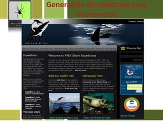 Generación de contactosparaeCommerce