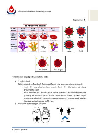 Incompability Rhesus Inkompatibilitas Rhesus dan Penanganannya | PDF