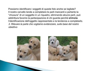 Possiamo identificare i soggetti di queste foto anche se tagliate?
Il nostro cervello tende a completare le parti mancanti e pertanto la
“chiusura” di un soggetto in un riquadro, eliminando alcune parti, può
addirittura favorire la partecipazione di chi guarda perché stimola
l’identificazione dell’oggetto rappresentato e la tendenza a completarlo.
3. Rilevare la parte che vogliamo evidenziare, sulla base del nostro
obiettivo
 