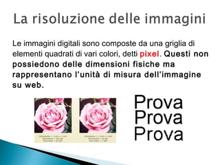 Le immagini digitali sono composte da una griglia di
elementi quadrati di vari colori, detti pixel. Questi non
possiedono delle dimensioni fisiche ma
rappresentano l’unità di misura dell’immagine
su web.
 
 