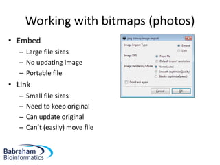 Inkscape tutorial | PDF