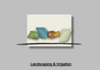 Landscaping & Irrigation
 