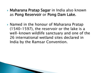 Maharana Pratap Sagar in India also known
as Pong Reservoir or Pong Dam Lake.
 Named in the honour of Maharana Pratap
(1540–1597), the reservoir or the lake is a
well-known wildlife sanctuary and one of the
26 international wetland sites declared in
India by the Ramsar Convention.
 