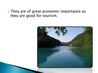  They are of great economic importance as
they are good for tourism.
 