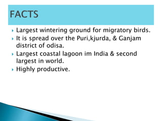  Largest wintering ground for migratory birds.
 It is spread over the Puri,kjurda, & Ganjam
district of odisa.
 Largest coastal lagoon im India & second
largest in world.
 Highly productive.
 