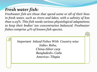 Inland fishery in the worlld | PPTX