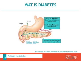 WAT IS DIABETES
11
Fysiologie van diabetes
 