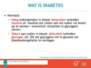 • Normaal:
− Hoog suikergehalte in bloed: betacellen scheiden
insuline af. Insuline zet cellen aan om suiker uit bloed
op te nemen + overschot: omzetten in glycogeen
(lever)
− Tekort aan suiker in bloed: alfacellen scheiden
glucagon uit. Dit zet glycogeen om in glucose om
bloedsuikergehalte te verhogen
WAT IS DIABETES
12
Fysiologie van diabetes
 