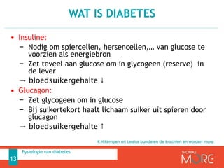 • Insuline:
− Nodig om spiercellen, hersencellen,… van glucose te
voorzien als energiebron
− Zet teveel aan glucose om in glycogeen (reserve) in
de lever
→ bloedsuikergehalte ↓
• Glucagon:
− Zet glycogeen om in glucose
− Bij suikertekort haalt lichaam suiker uit spieren door
glucagon
→ bloedsuikergehalte ↑
WAT IS DIABETES
13
Fysiologie van diabetes
 