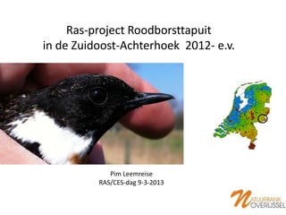 Ras-project Roodborsttapuit
in de Zuidoost-Achterhoek 2012- e.v.




             Pim Leemreise
          RAS/CES-dag 9-3-2013
 
