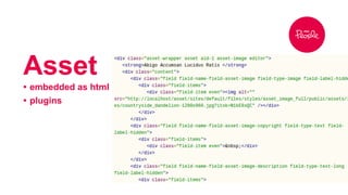 Asset 
• embedded as html 
• plugins 
 
