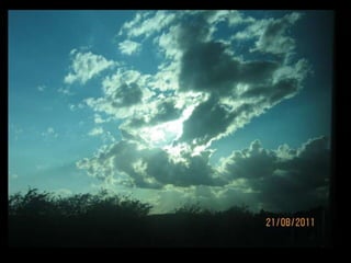 My Own Skating Pictures: