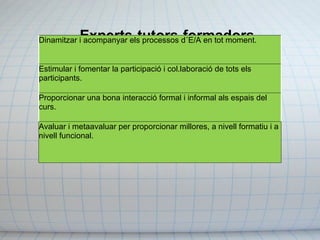 Experts-tutors-formadors. Dinamitzar i acompanyar els processos d´E/A en tot moment. Estimular i fomentar la participació i col.laboració de tots els participants. Proporcionar una bona interacció formal i informal als espais del curs. Avaluar i metaavaluar per proporcionar millores, a nivell formatiu i a nivell funcional. 