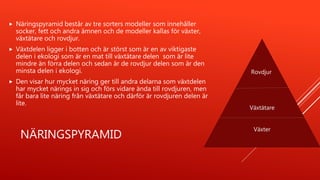NÄRINGSPYRAMID
 Näringspyramid består av tre sorters modeller som innehåller
socker, fett och andra ämnen och de modeller kallas för växter,
växtätare och rovdjur.
 Växtdelen ligger i botten och är störst som är en av viktigaste
delen i ekologi som är en mat till växtätare delen som är lite
mindre än förra delen och sedan är de rovdjur delen som är den
minsta delen i ekologi.
 Den visar hur mycket näring ger till andra delarna som växtdelen
har mycket närings in sig och förs vidare ända till rovdjuren, men
får bara lite näring från växtätare och därför är rovdjuren delen är
lite.
Växtätare
Växter
Rovdjur
 