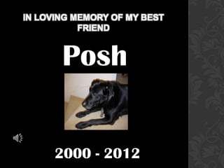 IN LOVING MEMORY OF MY BEST
           FRIEND


       Posh


      2000 - 2012
 