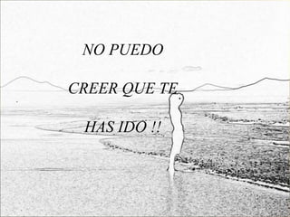 NO PUEDO

CREER QUE TE

 HAS IDO !!
 