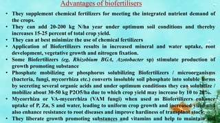Advantages of biofertilisers
• They supplement chemical fertilizers for meeting the integrated nutrient demand of
the crops.
• They can add 20-200 kg N/ha year under optimum soil conditions and thereby
increases 15-25 percent of total crop yield.
• They can at best minimize the use of chemical fertilizers
• Application of Biofertilizers results in increased mineral and water uptake, root
development, vegetative growth and nitrogen fixation.
• Some Biofertilizers (eg, Rhizobium BGA, Azotobacter sp) stimulate production of
growth promoting substance
• Phosphate mobilizing or phosphorus solubilizing Biofertilizers / microorganisms
(bacteria, fungi, mycorrhiza etc.) converts insoluble soil phosphate into soluble forms
by secreting several organic acids and under optimum conditions they can solubilize /
mobilize about 30-50 kg P2O5/ha due to which crop yield may increase by 10 to 20%.
• Mycorrhiza or VA-mycorrhiza (VAM fungi) when used as Biofertilizers enhance
uptake of P, Zn, S and water, leading to uniform crop growth and increased yield and
also enhance resistance to root diseases and improve hardiness of transplant stock.
• They liberate growth promoting substances and vitamins and help to maintain soil
 