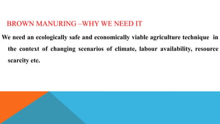 BROWN MANURING –WHY WE NEED IT
We need an ecologically safe and economically viable agriculture technique in
the context of changing scenarios of climate, labour availability, resource
scarcity etc.
 