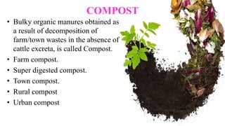 COMPOST
• Bulky organic manures obtained as
a result of decomposition of
farm/town wastes in the absence of
cattle excreta, is called Compost.
• Farm compost.
• Super digested compost.
• Town compost.
• Rural compost
• Urban compost
 