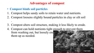Advantages of compost
• Compost binds soil particles
1. Compost helps sandy soils to retain water and nutrients.
2. Compost loosens slightly bound particles in clay or silt soil
.
3. Compost alters soil structure, making it less likely to erode.
4. Compost can hold nutrients tight enough to prevent them
from washing out, but loosely enough so plants can take
them up as needed.
 