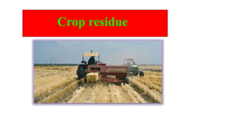 Crop residue
 