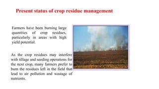 Present status of crop residue management
As the crop residues may interfere
with tillage and seeding operations for
the next crop, many farmers prefer to
burn the residues left in the field that
lead to air pollution and wastage of
nutrients.
Farmers have been burning large
quantities of crop residues,
particularly in areas with high
yield potential.
 