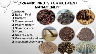ORGANIC INPUTS FOR NUTRIENT
MANAGEMENT
Examples
 Bulky – FYM
 Compost
 Vermicompost
 Poultry manure
 Sheep manure
 Slurry
 Crop residues
 Concentrated – oilcakes
 Slaughterhouse waste
15
 