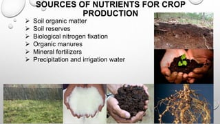 SOURCES OF NUTRIENTS FOR CROP
PRODUCTION
 Soil organic matter
 Soil reserves
 Biological nitrogen fixation
 Organic manures
 Mineral fertilizers
 Precipitation and irrigation water
8
 