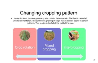 Changing cropping pattern
• In certain areas, farmers grow crop after crop in the same field. The field is never left
uncultivated or fallow. The continuous growing of crops makes the soil poorer in certain
nutrients. This results in the fall of the yield of the crop.
25
Crop rotation
Mixed
cropping
intercropping
 