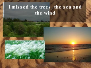 I missed the trees, the sea and the wind Comenius "A World of Differences" Intercultural Poems. Spain. 