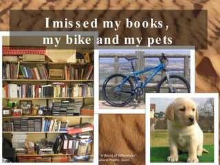 I  missed my books,  my bike and my pets Comenius "A World of Differences" Intercultural Poems. Spain. 