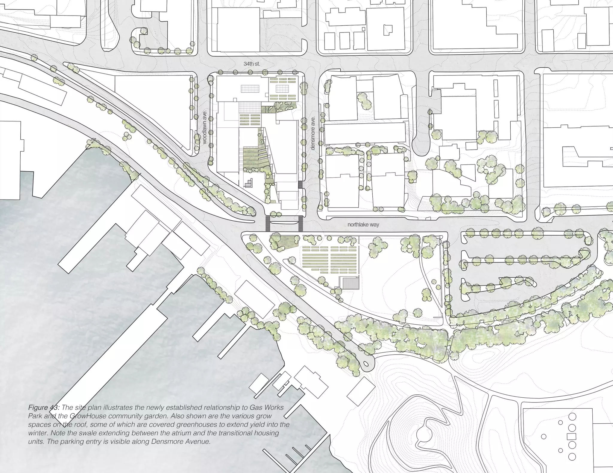Figure 43: The site plan illustrates the newly established relationship to Gas Works
Park and the GrowHouse community garden. Also shown are the various grow
spaces on the roof, some of which are covered greenhouses to extend yield into the
winter. Note the swale extending between the atrium and the transitional housing
units. The parking entry is visible along Densmore Avenue.
 