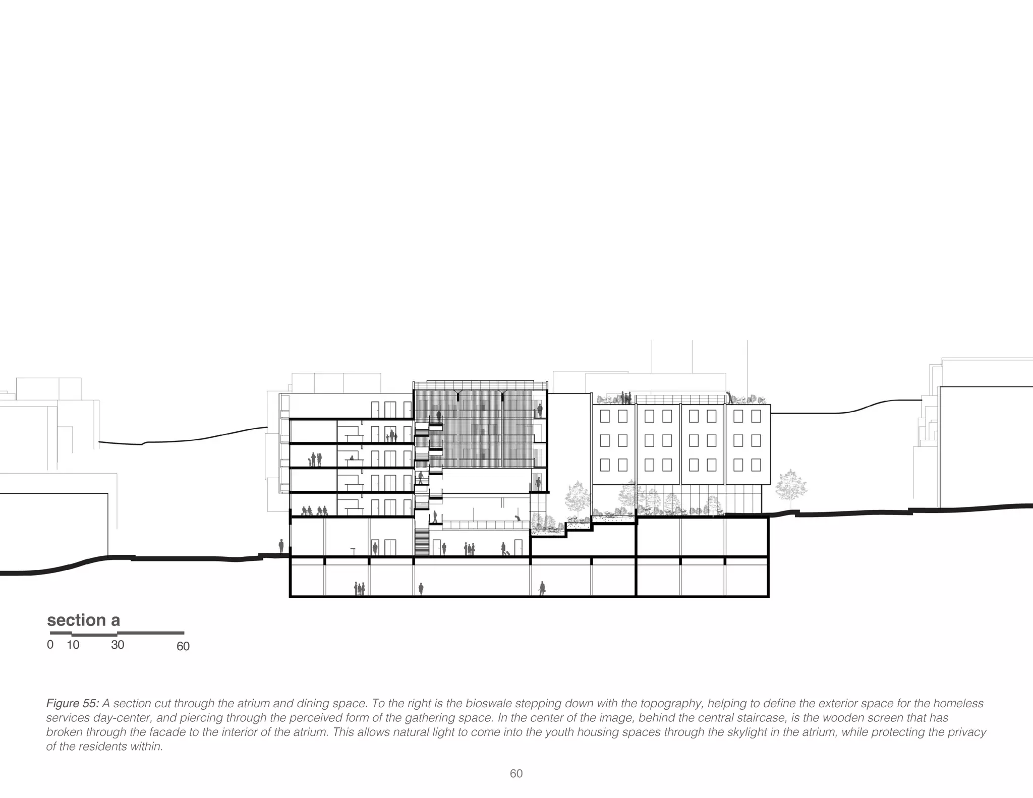 0 10 30 60
Figure 55: A section cut through the atrium and dining space. To the right is the bioswale stepping down with the topography, helping to define the exterior space for the homeless
services day-center, and piercing through the perceived form of the gathering space. In the center of the image, behind the central staircase, is the wooden screen that has
broken through the facade to the interior of the atrium. This allows natural light to come into the youth housing spaces through the skylight in the atrium, while protecting the privacy
of the residents within.
section a
60
 
