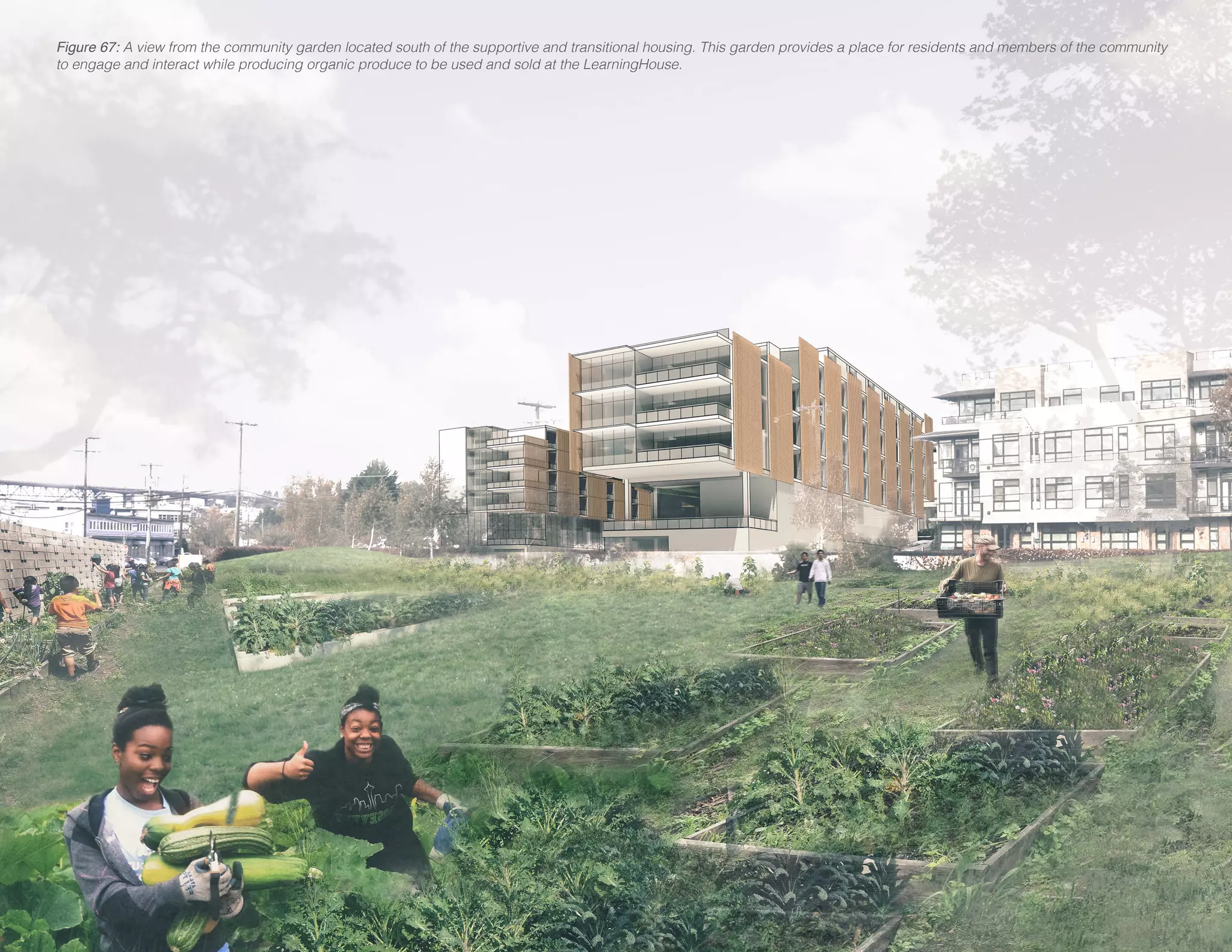 Figure 67: A view from the community garden located south of the supportive and transitional housing. This garden provides a place for residents and members of the community
to engage and interact while producing organic produce to be used and sold at the LearningHouse.
 