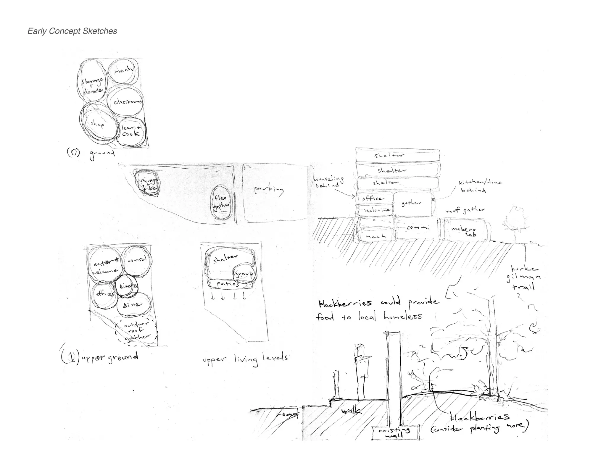 Early Concept Sketches
 