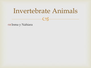 
 Inma y Nahiara
Invertebrate Animals
 