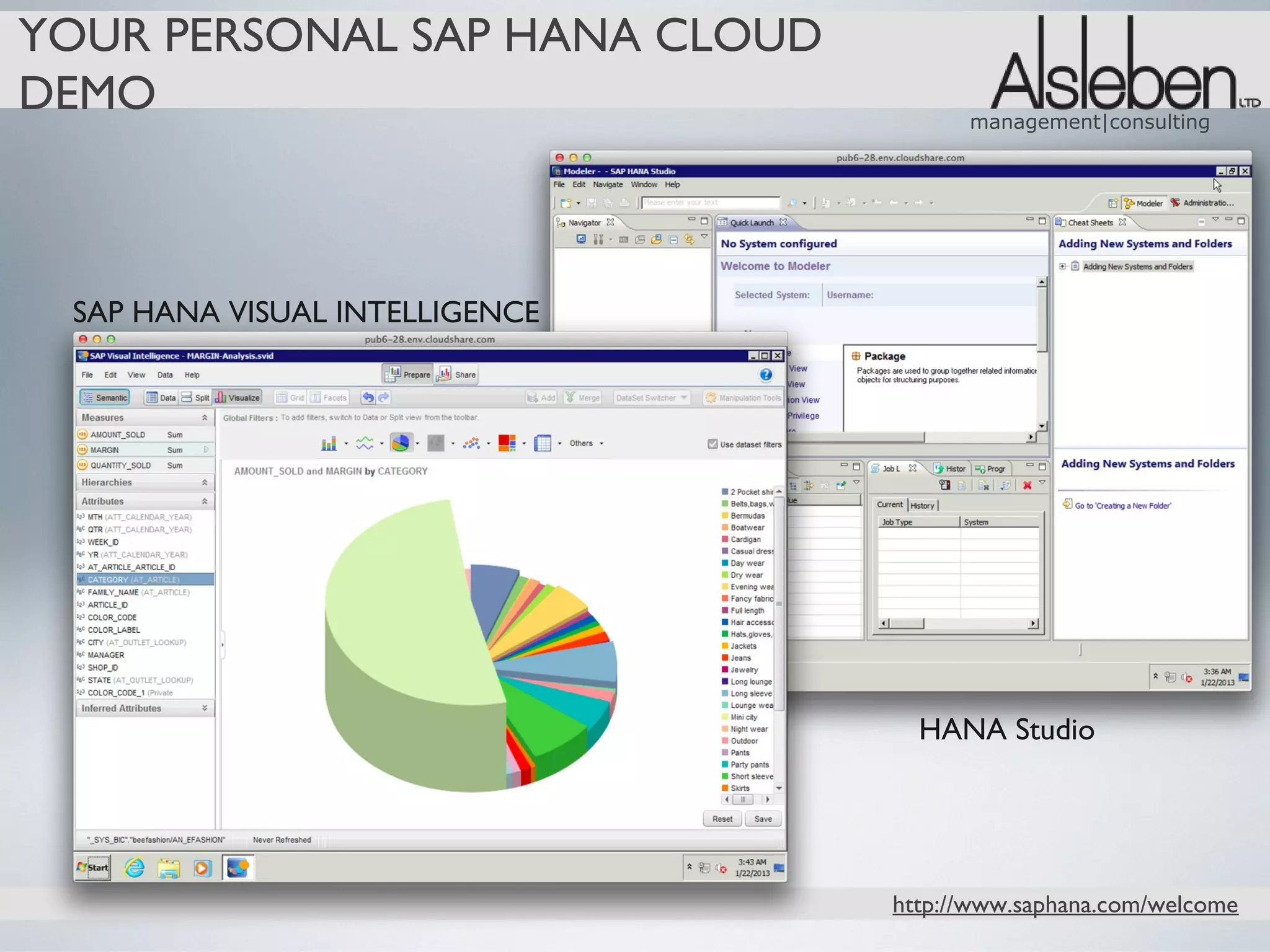 YOUR PERSONAL SAP HANA CLOUD
DEMO                                  management|consulting




 SAP HANA VISUAL INTELLIGENCE




                                  HANA Studio




                                http://www.saphana.com/welcome
 