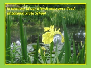 In memory of our friends who once lived at Laconia State School 