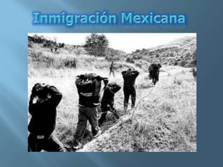 Inmigración Mexicana 