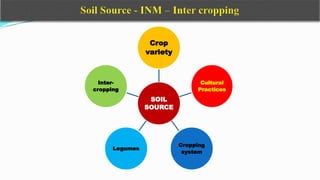 SOIL
SOURCE
Crop
variety
Cultural
Practices
Cropping
system
Legumes
Inter-
cropping
 