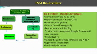 Phosphate Solubilising
bacteria PSB
Vesicular
Arbuscular
Mycorhizae VAM
Azotobactor
sp.
Azospirillium
sp.
Rhozobium
Trichoderma
Pseudomonas
Bio-Fertilizer – Benefit / Advantages -
•Increase crop yield by 20-30 %
•Replace chemical N & P by 25 %
•Stimulate plant growth
•Acivate the soil biologically
•Restore natural soil fertility.
•Provide protection against drought & some soil
borne diseases.
• Cost effective
•Reduce the costs toward fertilizers use N & P
•Supplement to fertilizers
•Eco friendly in nature.
 