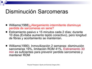 Disminución Sarcomeras Williams(1988 )¿Alargamiento intermitente disminuye perdida de sarcomeras en serie? Estiramiento pasivo x 15 minutos cada 2 días; durante 10 días.(Evitaba aumento tejido conectivo), pero longitud de fibras y acortamiento se mantenían. Williams(1990). Inmovilización 2 semanas: disminución sarcomeras 19%, limitación ROM 41%.  Estiramiento 30 min  es suficientes para prevenir perdida sarcomeras y mantener ROM Physical Therapies in Sports and Exercise( Gregory Kolt ) 