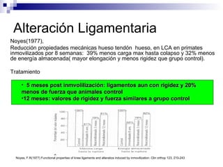 Alteración Ligamentaria Noyes(1977),  Reducción propiedades mecánicas hueso tendón  hueso, en LCA en primates  inmovilizados por 8 semanas:  39% menos carga max hasta colapso y 32% menos  de energía almacenada( mayor elongación y menos rigidez que grupo control). Tratamiento 5 meses post inmvolilización: ligamentos aun con rigidez y 20%  menos de fuerza que animales control 12 meses: valores de rigidez y fuerza similares a grupo control Noyes, F.R(1977) Functional properties of knee ligaments and alteratios induced by inmovilization. Clin orthop 123, 210-243 