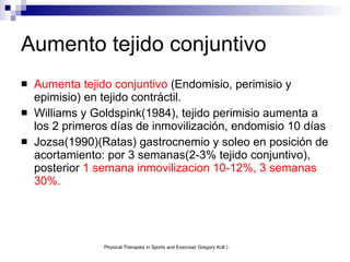 Aumento tejido conjuntivo Aumenta tejido conjuntivo  (Endomisio, perimisio y epimisio) en tejido contráctil. Williams y Goldspink(1984), tejido perimisio aumenta a los 2 primeros días de inmovilización, endomisio 10 días Jozsa(1990)(Ratas) gastrocnemio y soleo en posición de acortamiento: por 3 semanas(2-3% tejido conjuntivo), posterior  1 semana inmovilizacion 10-12%, 3 semanas 30%. Physical Therapies in Sports and Exercise( Gregory Kolt ) 