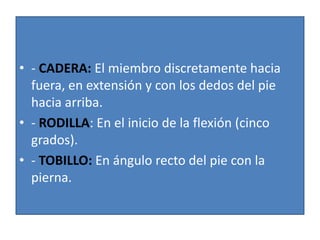 • - CADERA: El miembro discretamente hacia
fuera, en extensión y con los dedos del pie
hacia arriba.
• - RODILLA: En el inicio de la flexión (cinco
grados).
• - TOBILLO: En ángulo recto del pie con la
pierna.

 