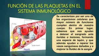 FUNCIÓN DE LAS PLAQUETAS EN EL
SISTEMA INMUNOLÓGICO
Se caracterizan por ser uno de
los organismos celulares que
mayor número de funciones
cumplen dentro de nuestro
cuerpo. En primer lugar,
sabemos que nos ayudan
a detener el sangrado ante
heridas o lesiones, formando
una especie de tapón, y que
además ayudan a reparar los
vasos sanguíneos dañados y a
mejorar la fluidez de la sangre.
 