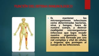 FUNCIÓN DEL SISTEMA INMUNOLOGICO
 Es mantener los
microorganismos infecciosos
como determinadas bacterias,
virus y hongos, fuera de
nuestro cuerpo, y destruir
cualquier microorganismo
infeccioso que logre invadir
nuestro organismo. Este
sistema está formado por una
red compleja y vital de células
y órganos que protegen al
cuerpo de las infecciones.
 