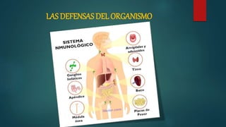 LAS DEFENSAS DEL ORGANISMO
 