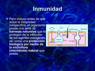 Inmunidad Pero incluso antes de que actúe la inmunidad inespecífica, el organismo posee una serie de  barreras naturales  que lo protegen de la infección de los agentes patógenos, así como una  protección biológica por medio de la microflora (microbiota) natural  que posee.  